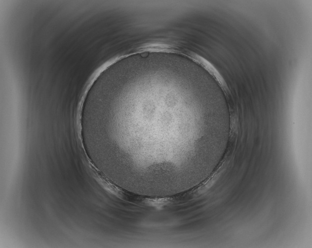 X0000115581435200911171001