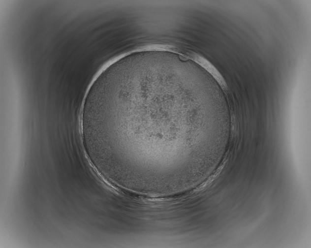 X0000115581436200911171001