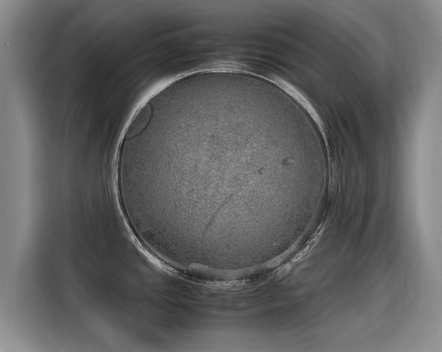 X0000115581437200911171001