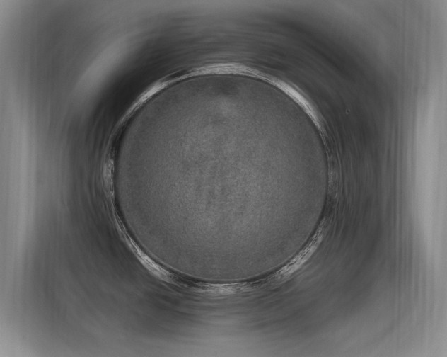 X0000115581438200911171001