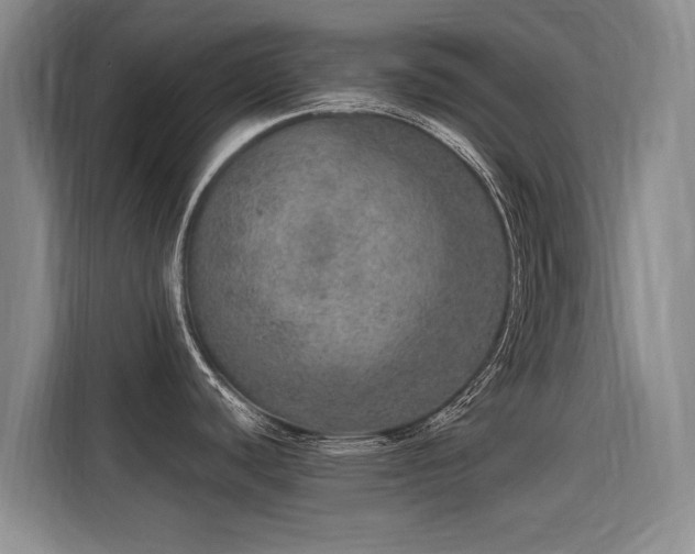 X0000115581440200911171001