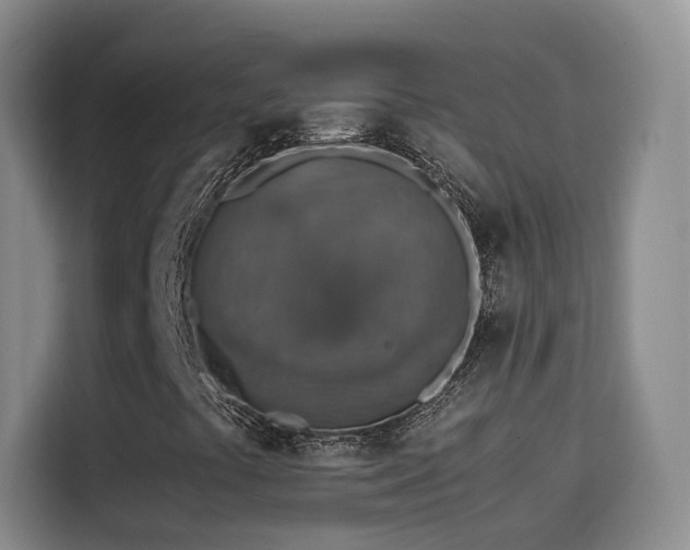 X0000115581441200911171000