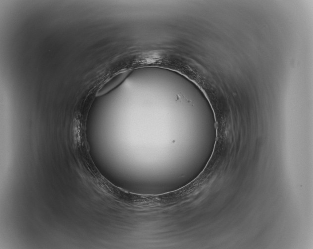 X0000115581442200911171000