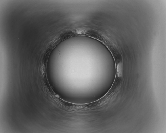 X0000115581443200911171000