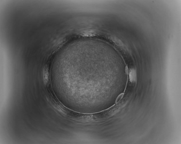 X0000115581444200911171000