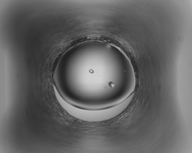 X0000115581445200911171000