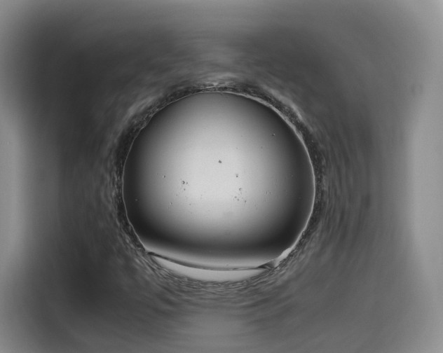 X0000115581447200911171000