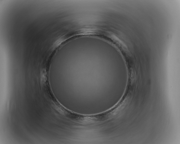 X0000115581449200911171000