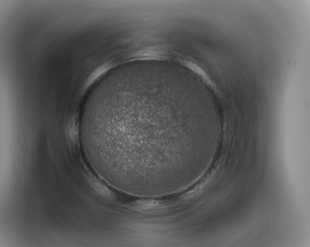 X0000115581450200911171000