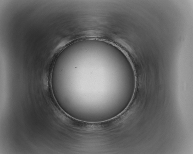 X0000115581451200911171000