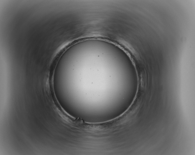 X0000115581452200911171000