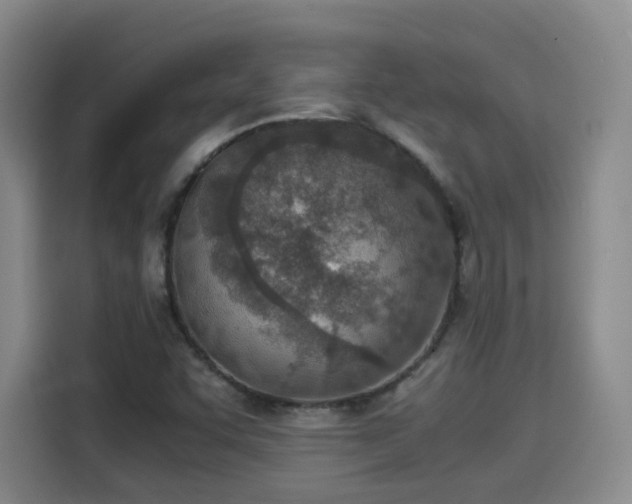 X0000115581455200911171000