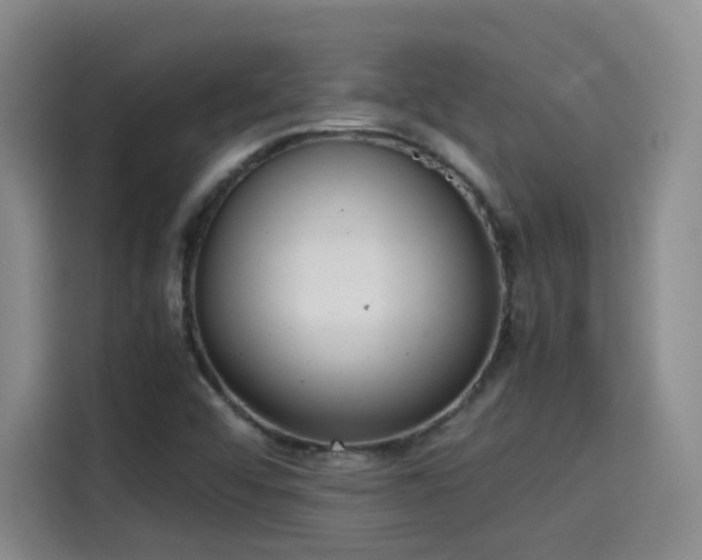 X0000115581456200911171000