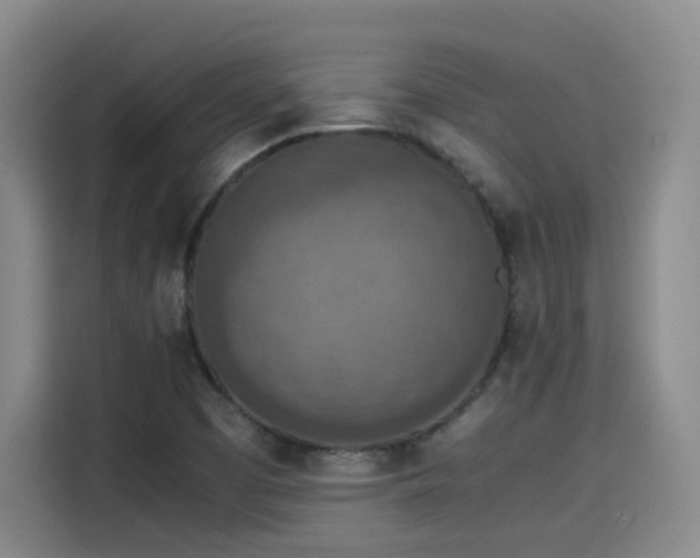 X0000115581457200911171000