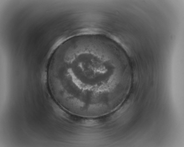 X0000115581459200911171000