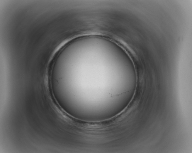 X0000115581460200911171000