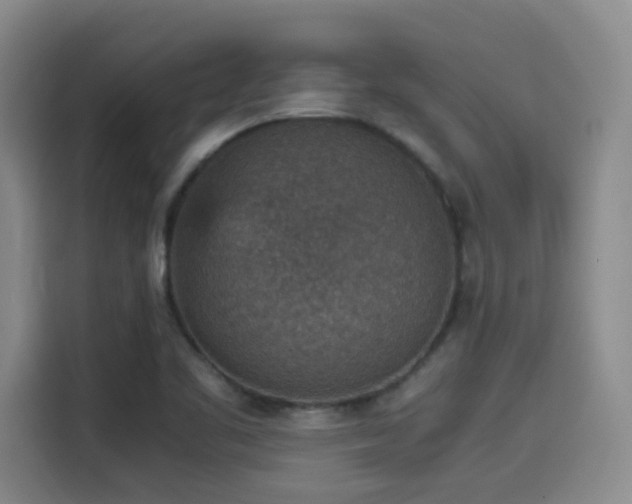 X0000115581461200911171000