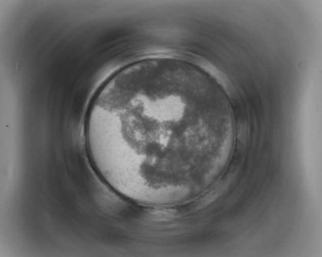 X0000115581466200911171000