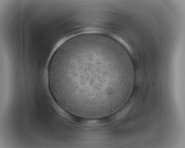 X0000115581467200911171000