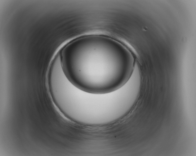 X0000115581468200911171000