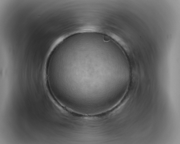 X0000115581469200911171000