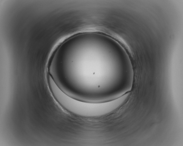 X0000115581472200911170959