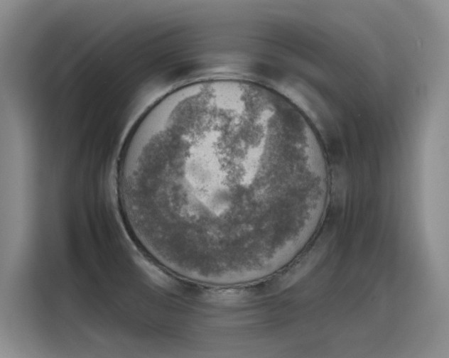 X0000115581474200911170959