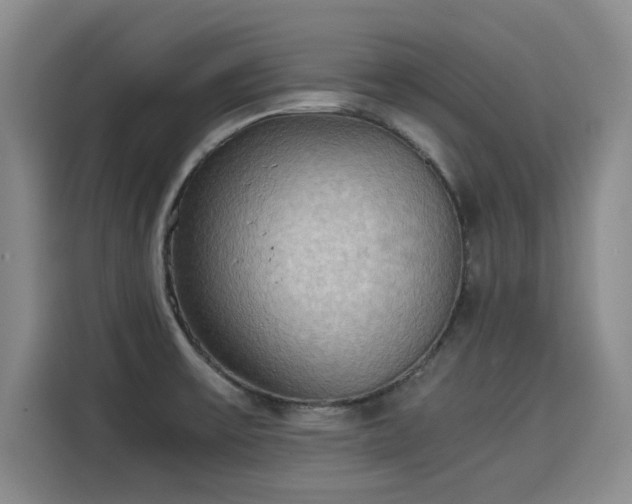 X0000115581475200911170959