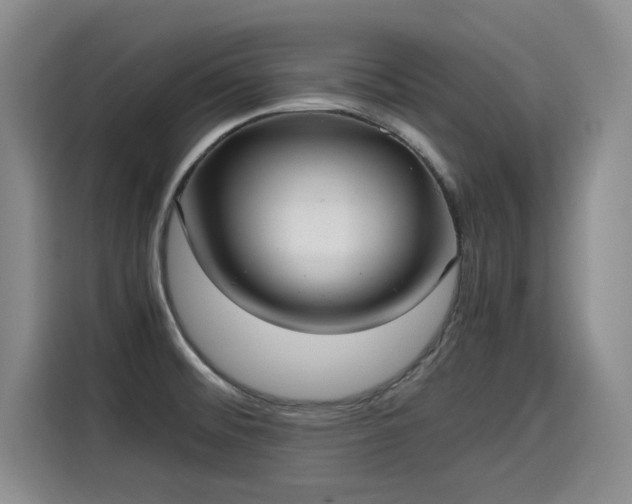 X0000115581476200911170959