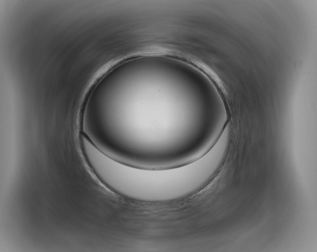 X0000115581477200911170959