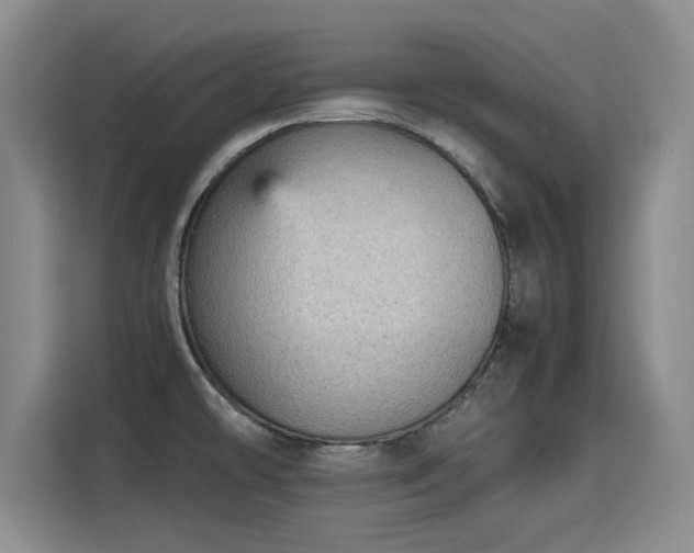 X0000115581478200911170959