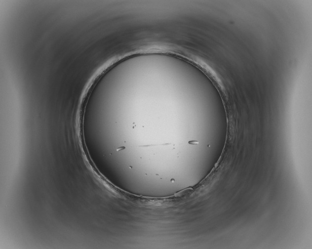 X0000115581480200911170959