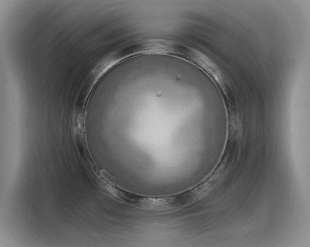 X0000115581481200911170959