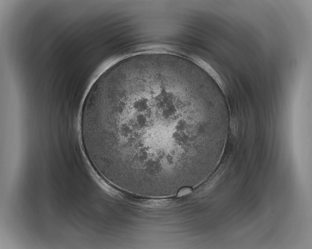 X0000115581482200911170959