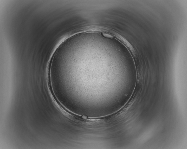 X0000115581483200911170959