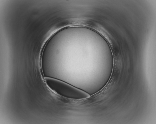 X0000115581485200911170959