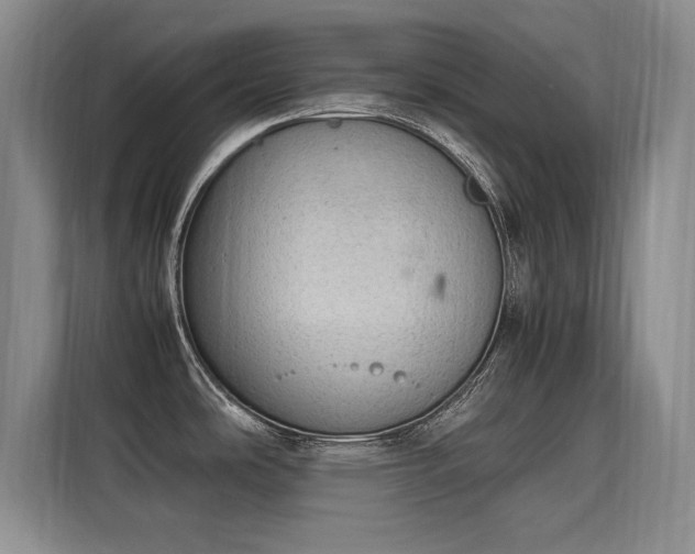 X0000115581486200911170959