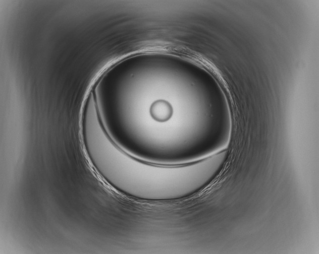 X0000115581488200911170959