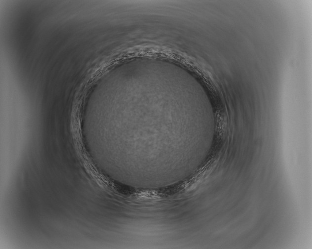 X0000115581489200911170959