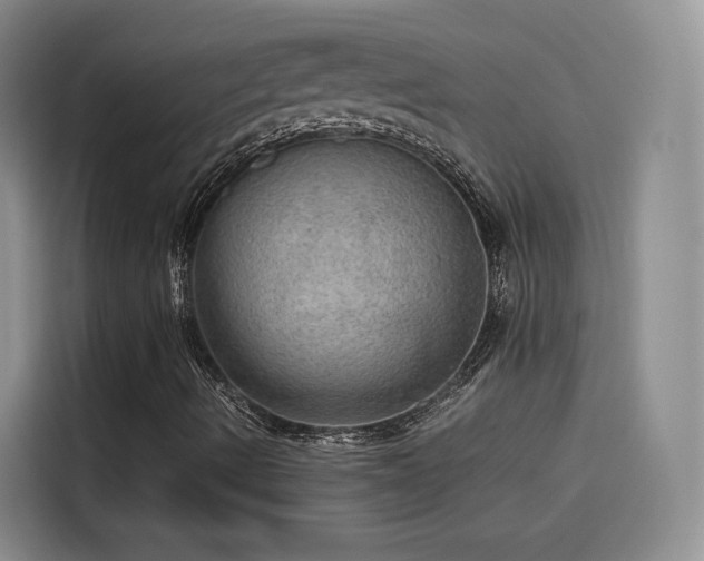 X0000115581490200911170959