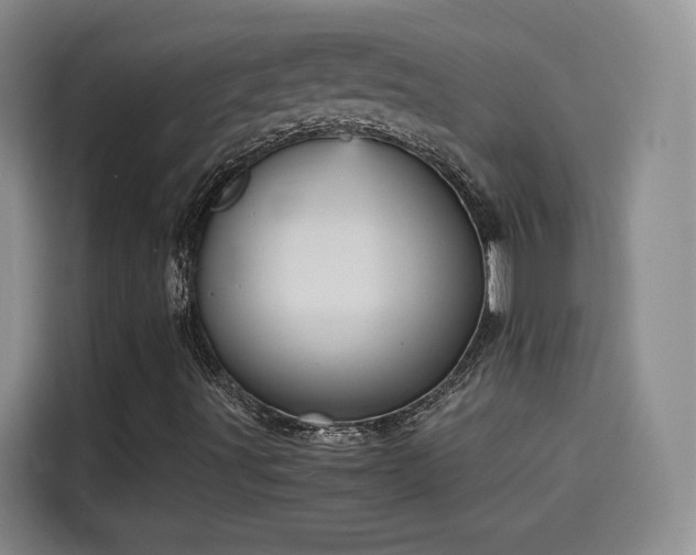 X0000115581491200911170959