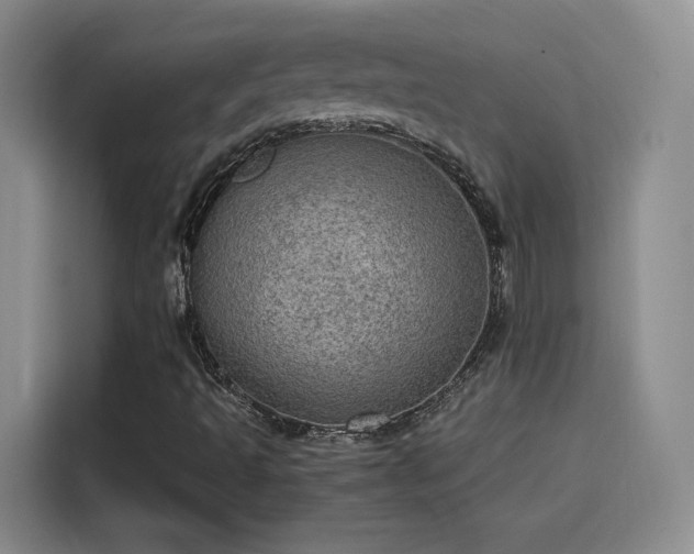 X0000115581493200911170959