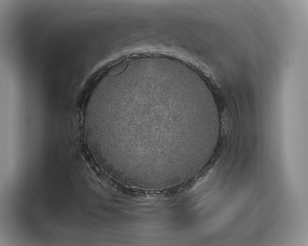 X0000115581494200911170959