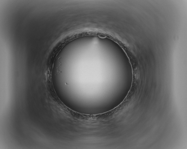 X0000115581495200911170959