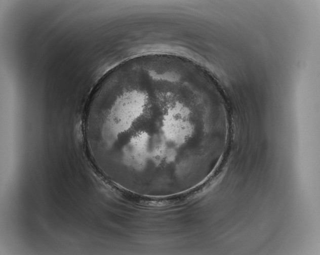 X0000115581497200911170959