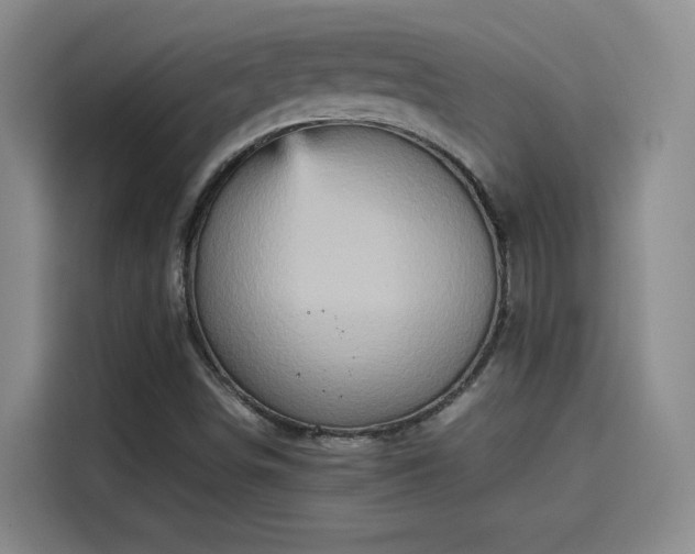 X0000115581498200911170959