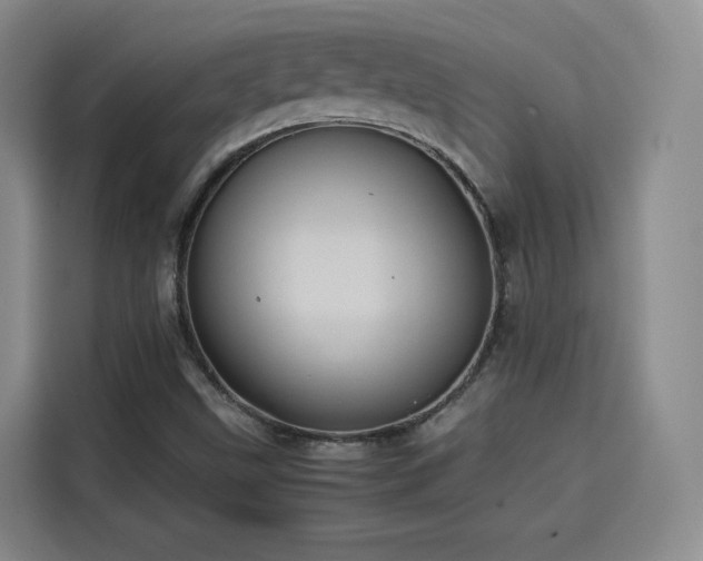 X0000115581499200911170959