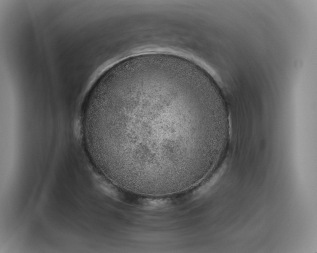 X0000115581501200911170959