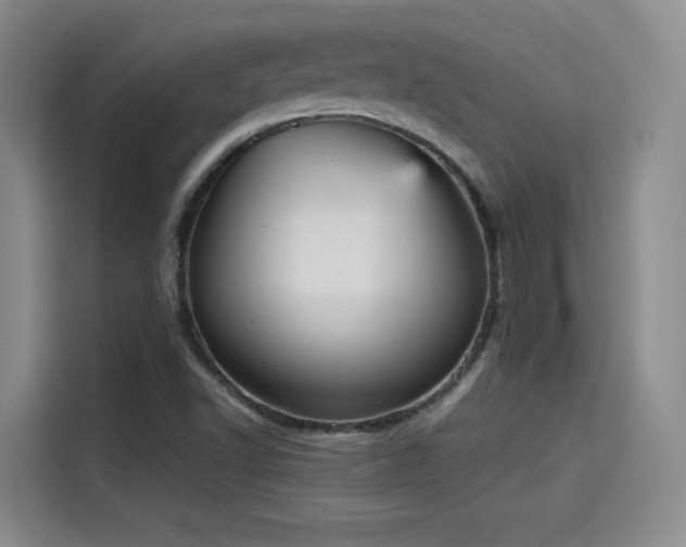 X0000115581502200911170959