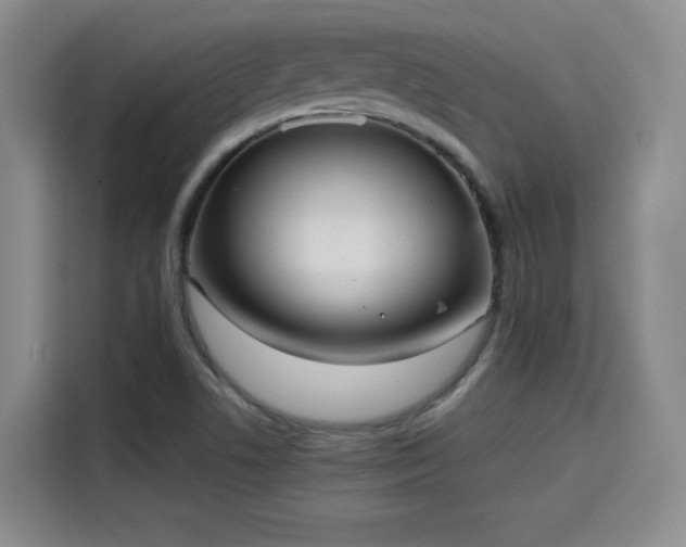 X0000115581506200911170959